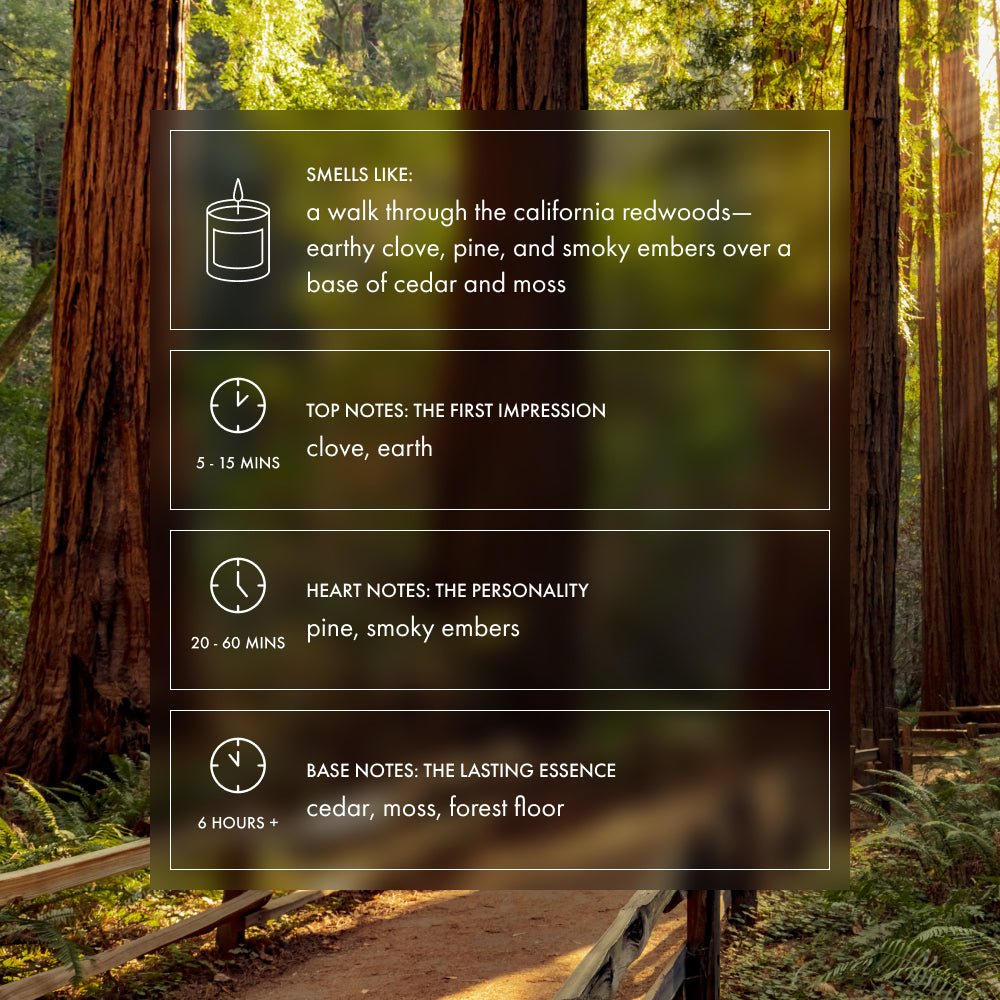 California Redwoods Candle | Pine, cedar, moss - Footnotes Paper