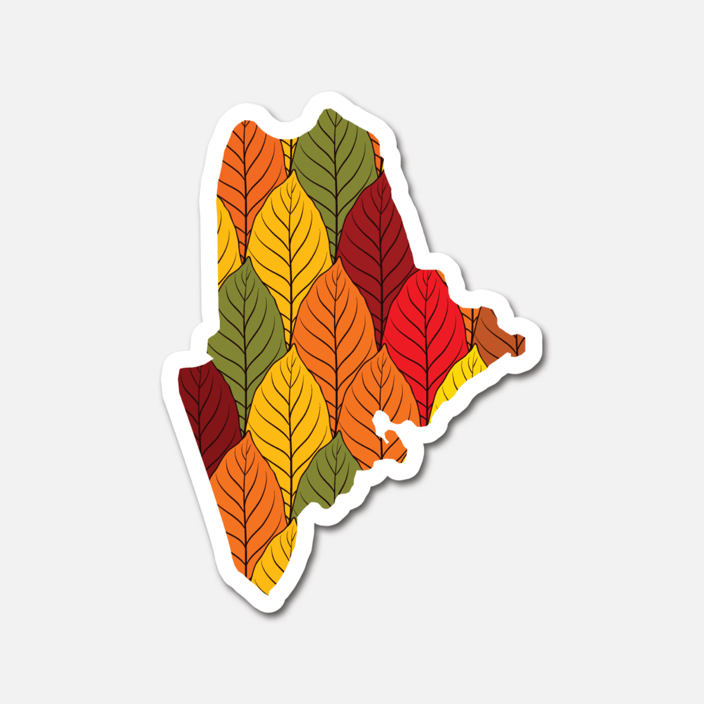 Maine Autumn Leaves – State Sticker - Footnotes Paper