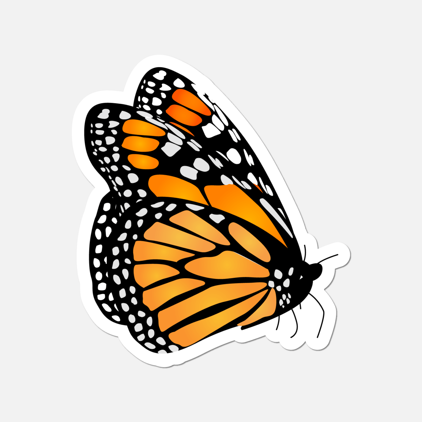 Monarch Side Profile Butterfly Sticker - Footnotes Paper