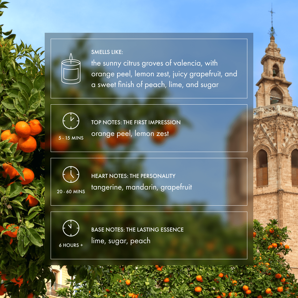 Valencia Candle | Fresh, citrus, mandarin, lime - Footnotes Paper