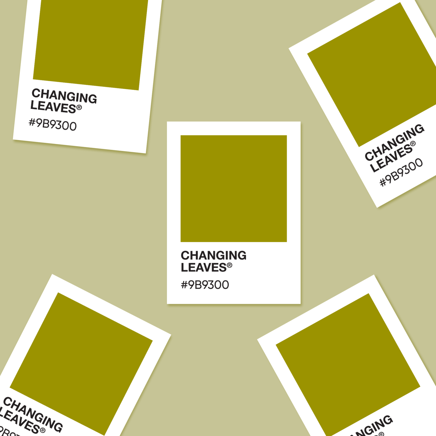 Changing Leaves - Color Palette Sticker - Footnotes Paper