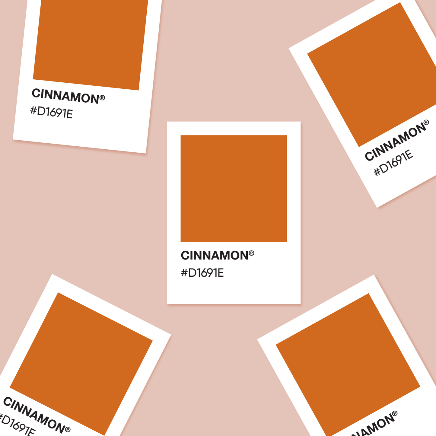 Cinnamon - Color Palette Sticker