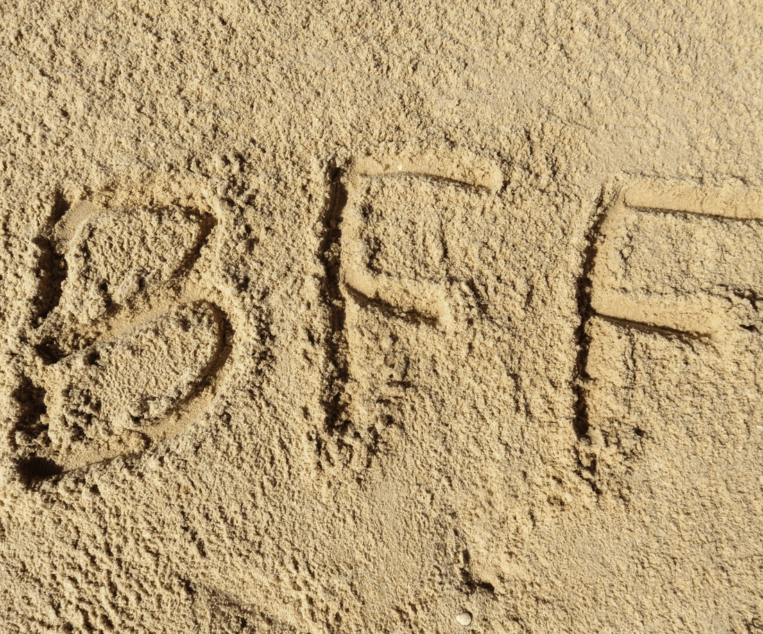 Best Friend Stickers, Tags & More for National Best Friend Day - Footnotes Paper