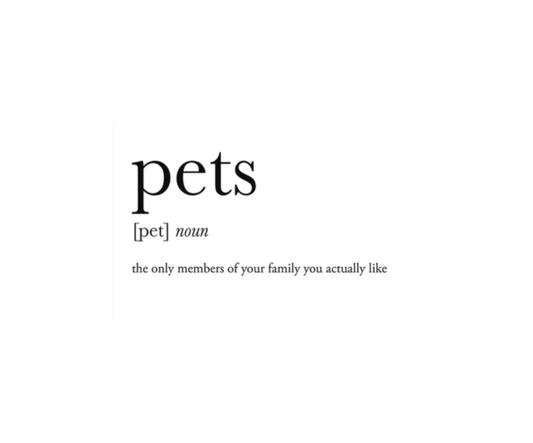 The Cutest Pet Greeting Cards to Send to Your Loved Ones | Footnotes Paper - Footnotes Paper