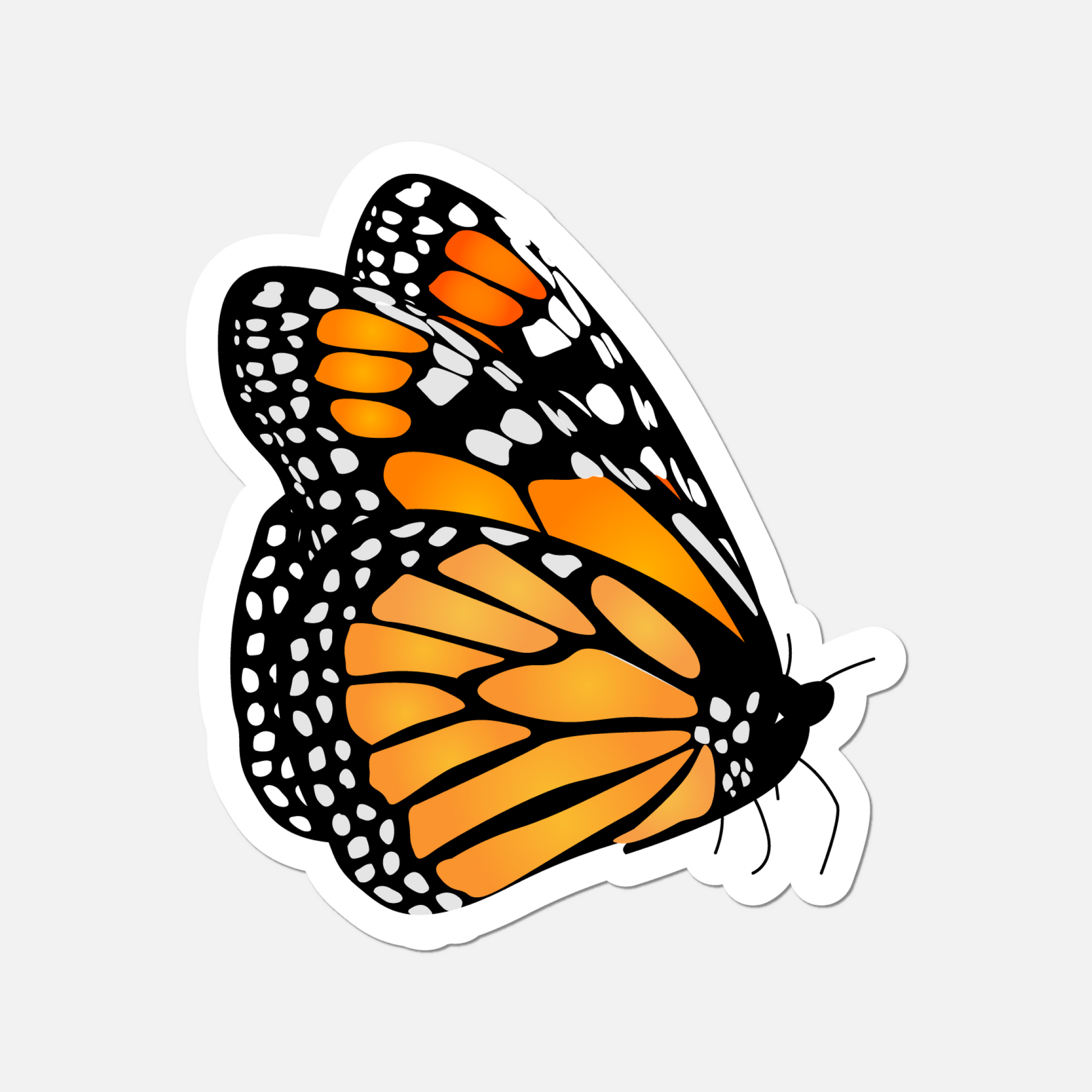 Monarch Side Profile Butterfly Sticker - Unique Angle, Durable Vinyl