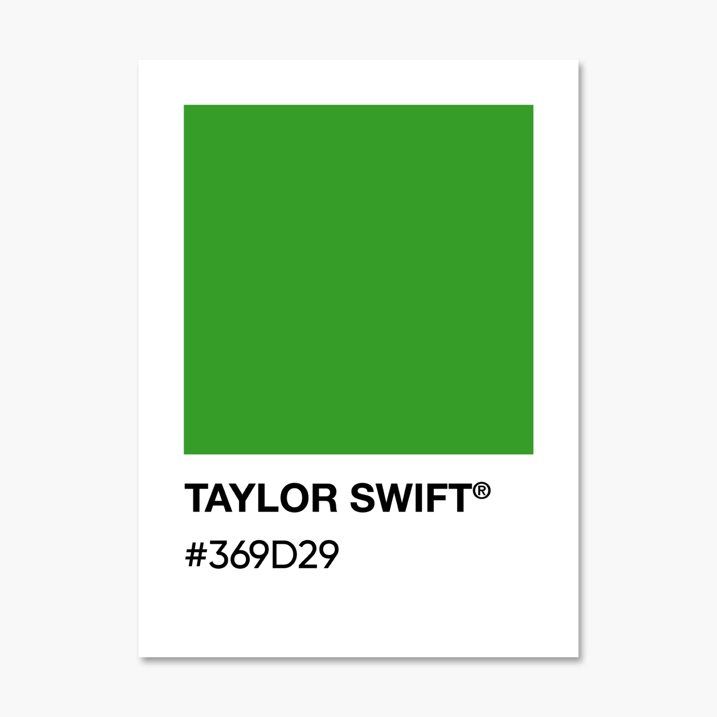 Debut  - Color Palette Sticker