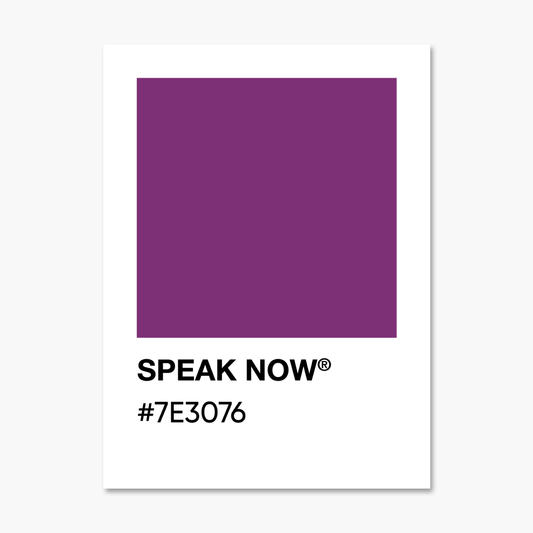 Speak Now  - Color Palette Sticker