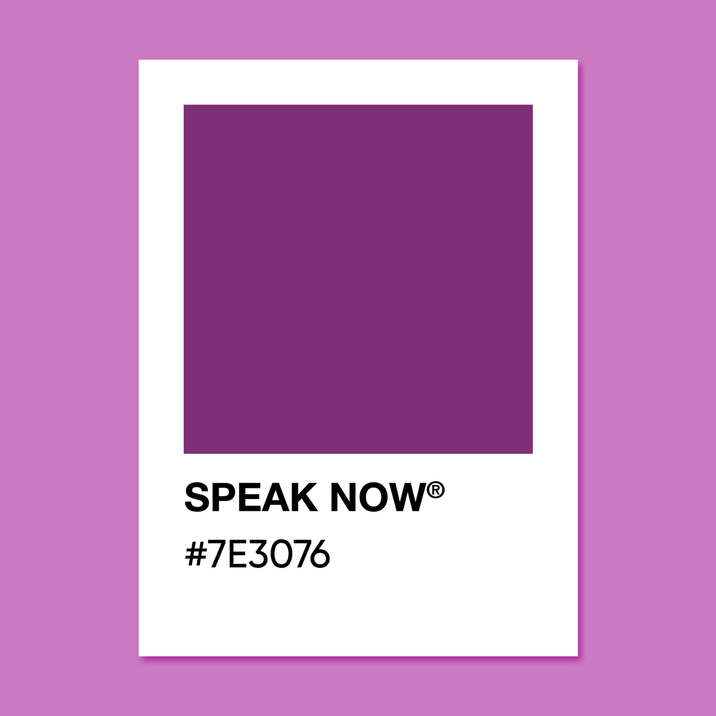 Speak Now  - Color Palette Sticker