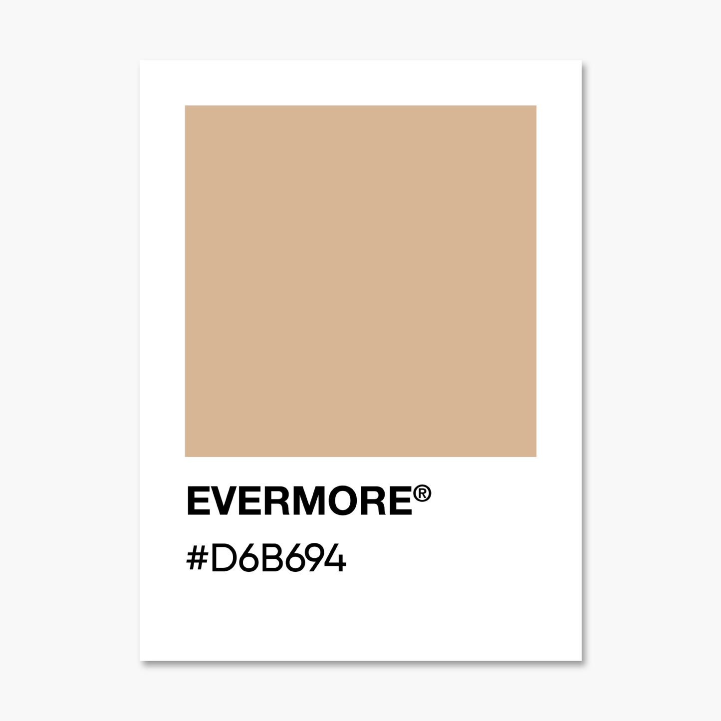 Evermore Album  - Color Palette Sticker