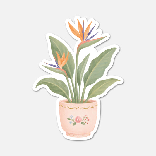 hand drawn waterproof vinyl birds of paradise flower cottagecore sticker on white background
