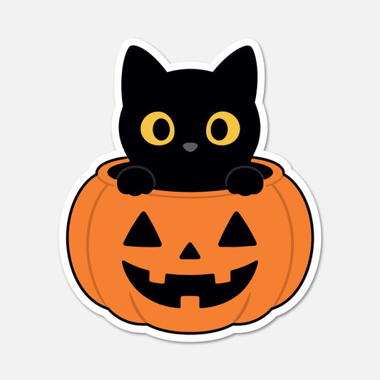 Black Cat In A Pumpkin - Animal Sticker - Footnotes Paper