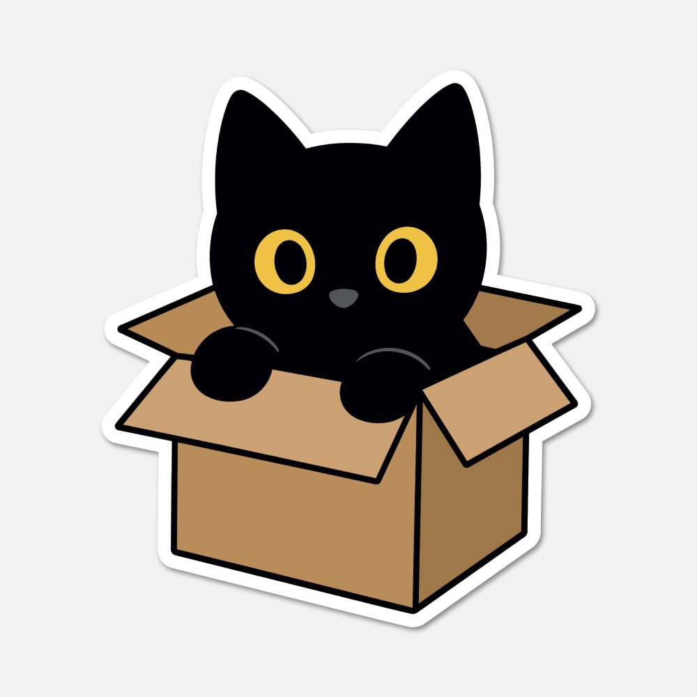 Black Cat In Cardboard Box - Animal Sticker - Footnotes Paper