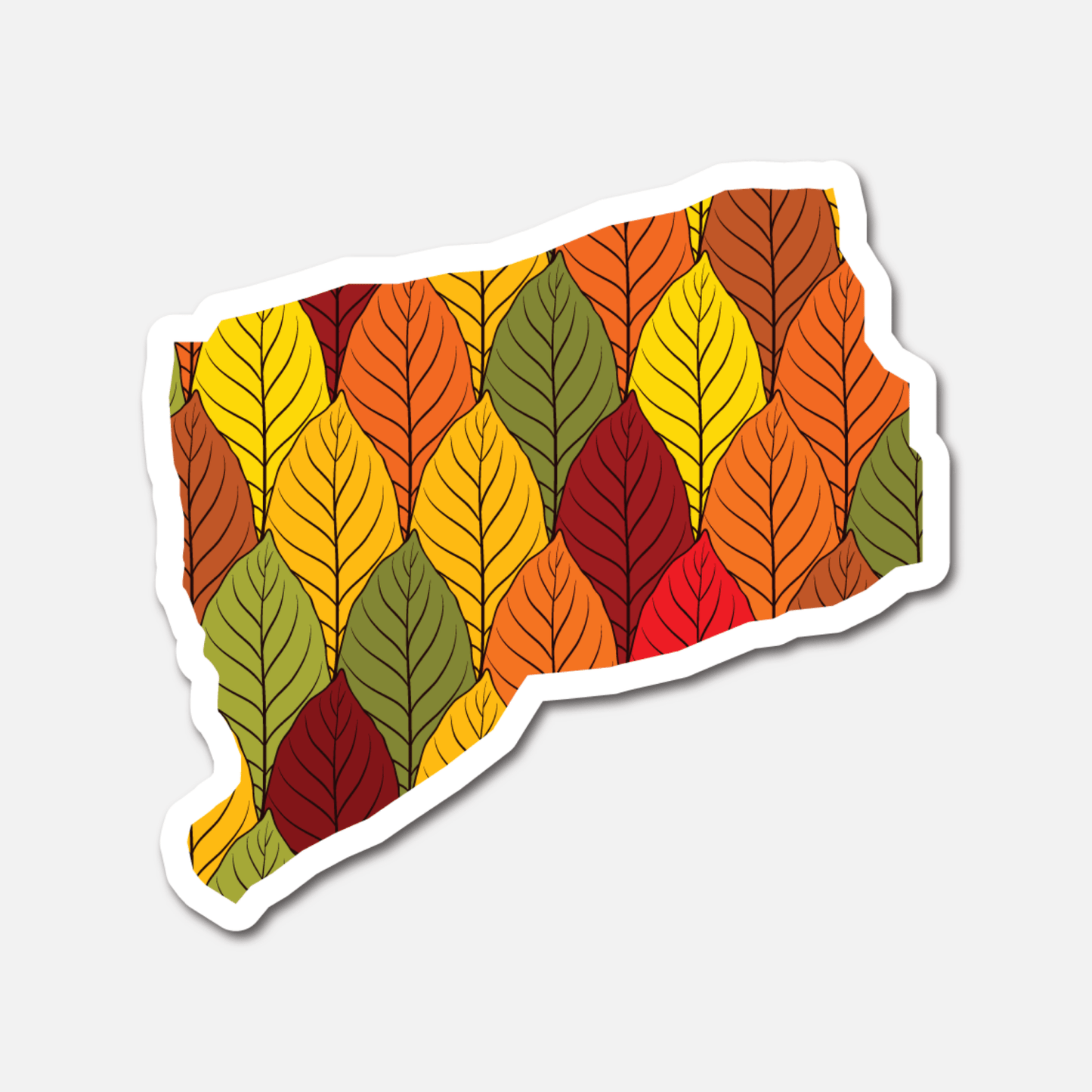 Connecticut Autumn Leaves – State Sticker - Footnotes Paper