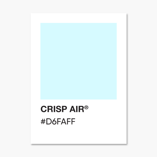 Crisp Air Color Palette Sticker | Footnotes Paper