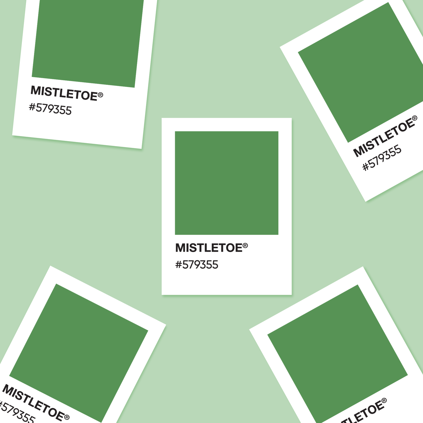 Mistletoe  - Color Palette Sticker