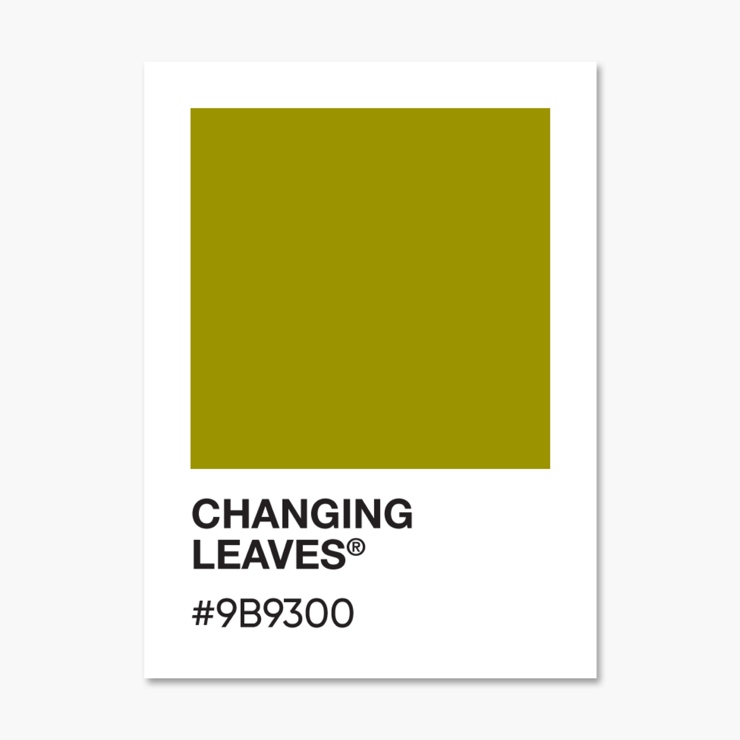 Changing Leaves Color Palette Sticker | Footnotes Paper