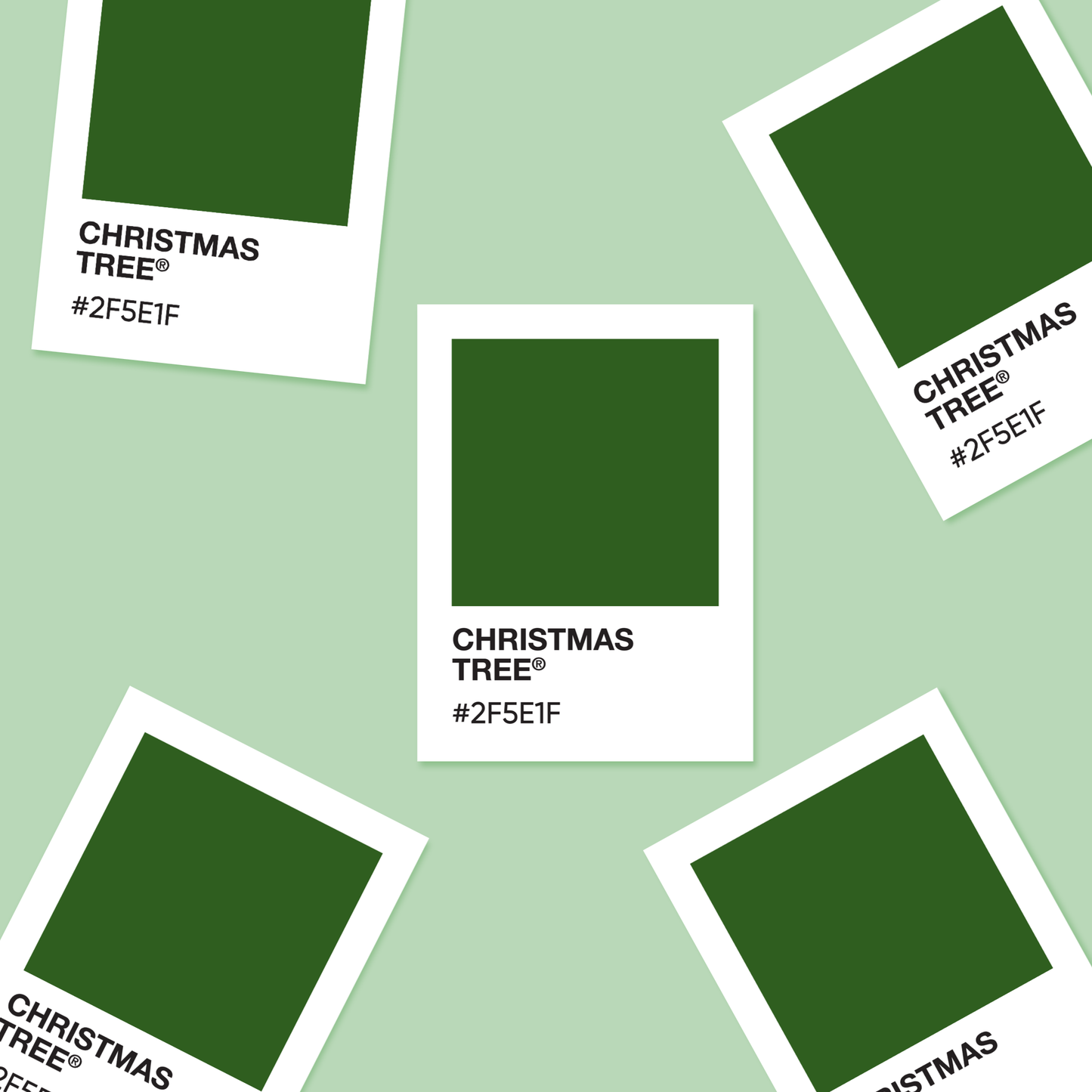 Christmas Tree  - Color Palette Sticker