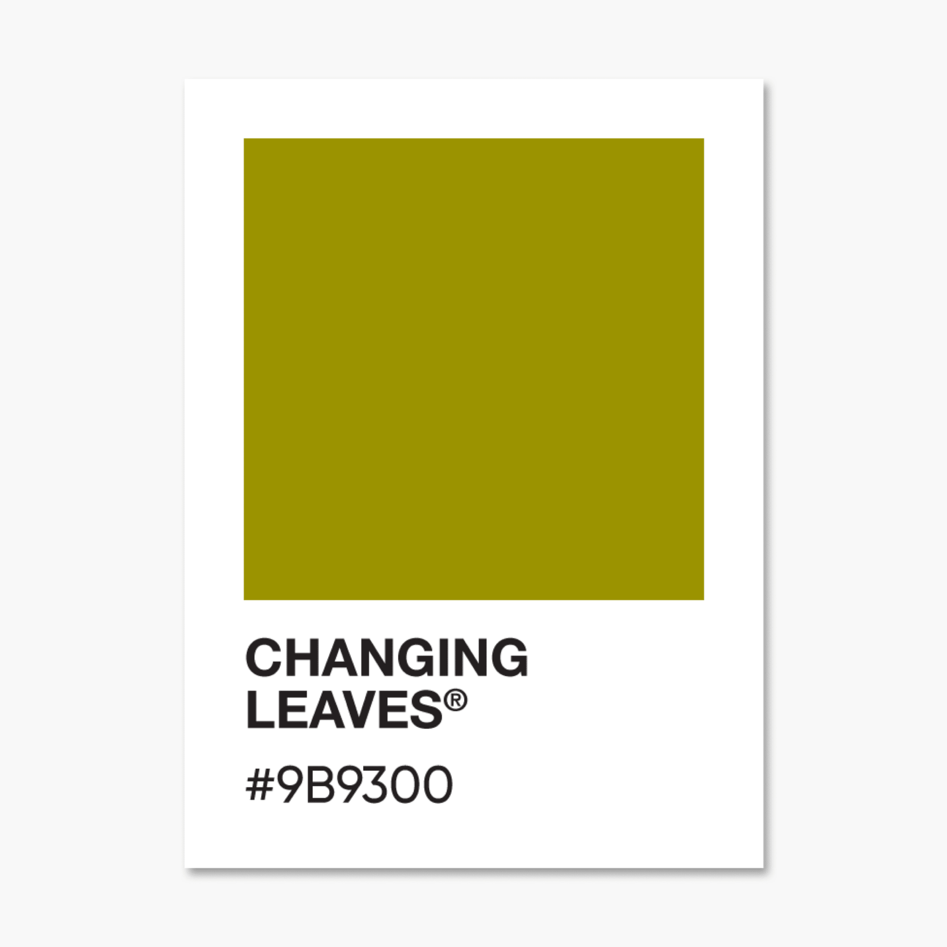 Changing Leaves - Color Palette Sticker - Footnotes Paper