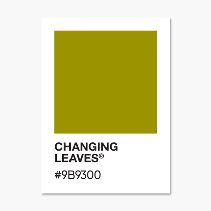 Changing Leaves - Color Palette Sticker - Footnotes Paper