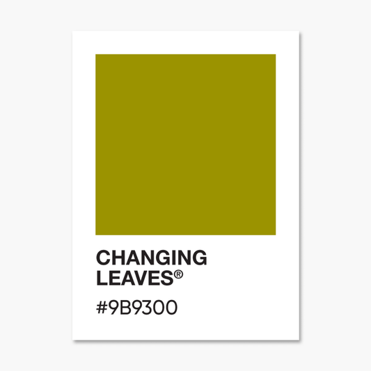 Changing Leaves - Color Palette Sticker - Footnotes Paper