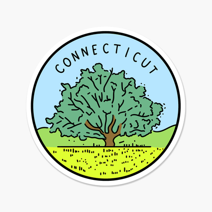 Connecticut Illustrated US State 3 x 3 in - Travel Sticker - Footnotes Paper