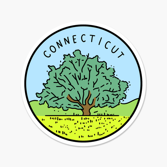 Connecticut Illustrated US State 3 x 3 in - Travel Sticker - Footnotes Paper