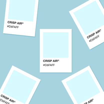 Crisp Air - Color Palette Sticker - Footnotes Paper
