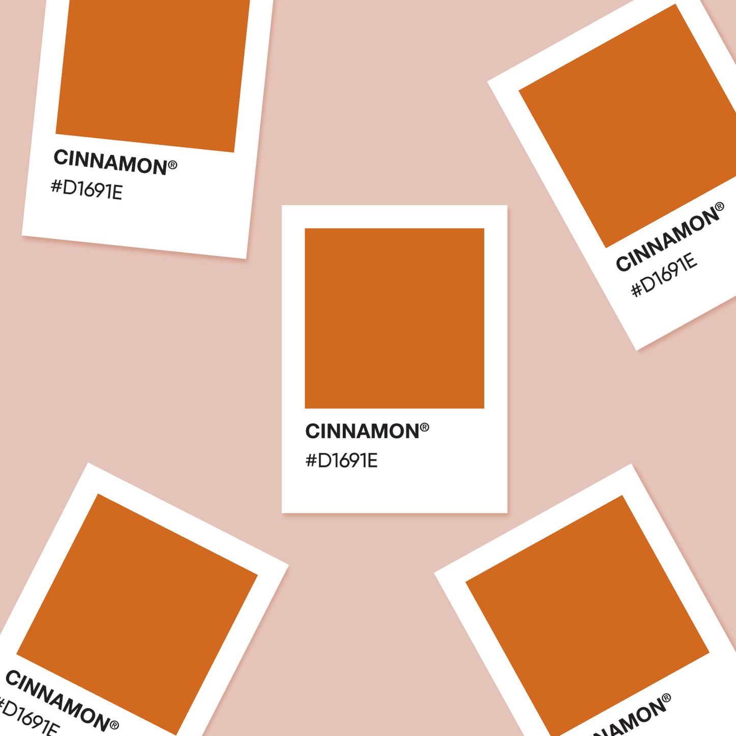 Cinnamon  - Color Palette Sticker