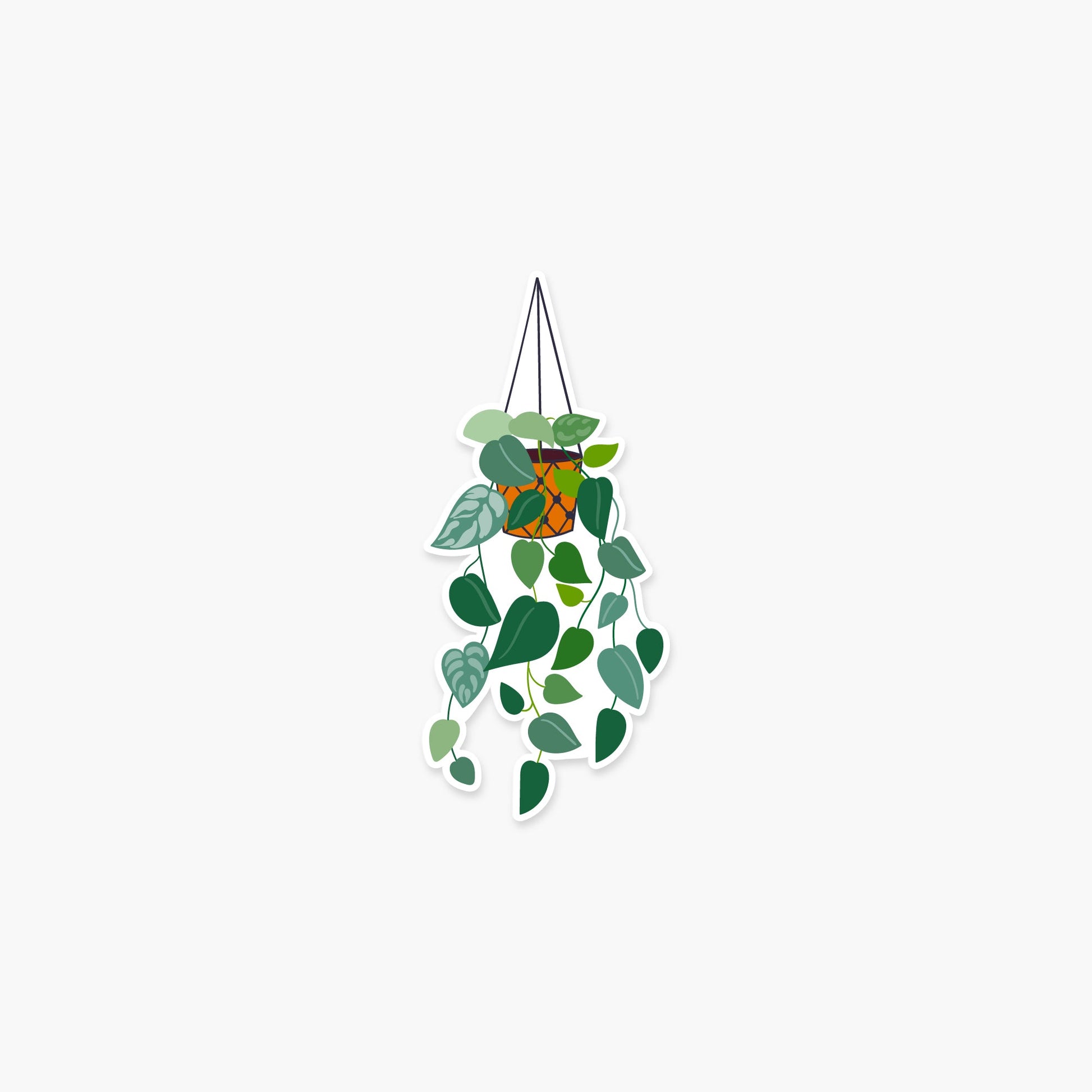 Hanging Pothos Plant 1.5 x 3.5 in - Plant Sticker - Footnotes Paper