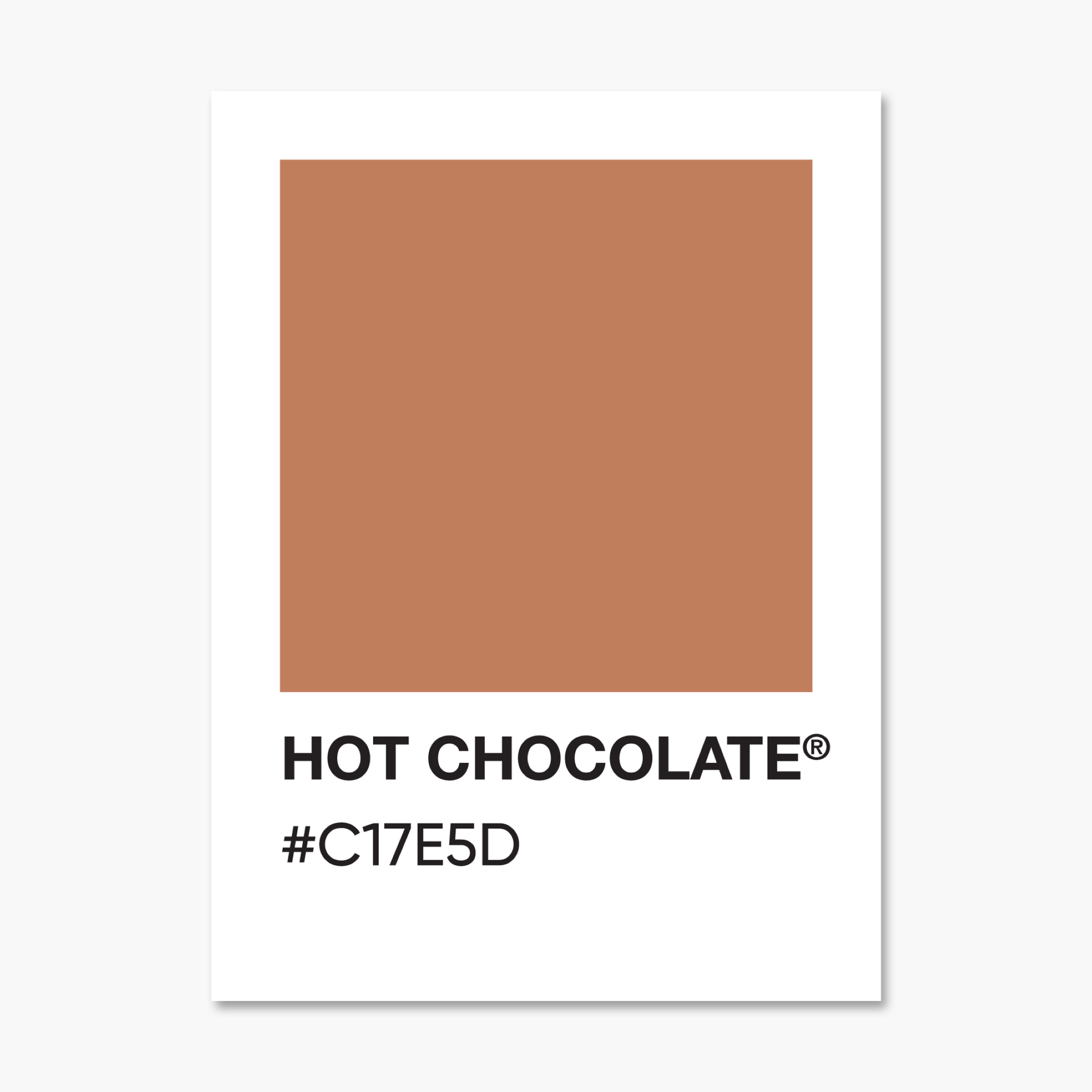 Hot Chocolate Color Palette Sticker | Footnotes Paper