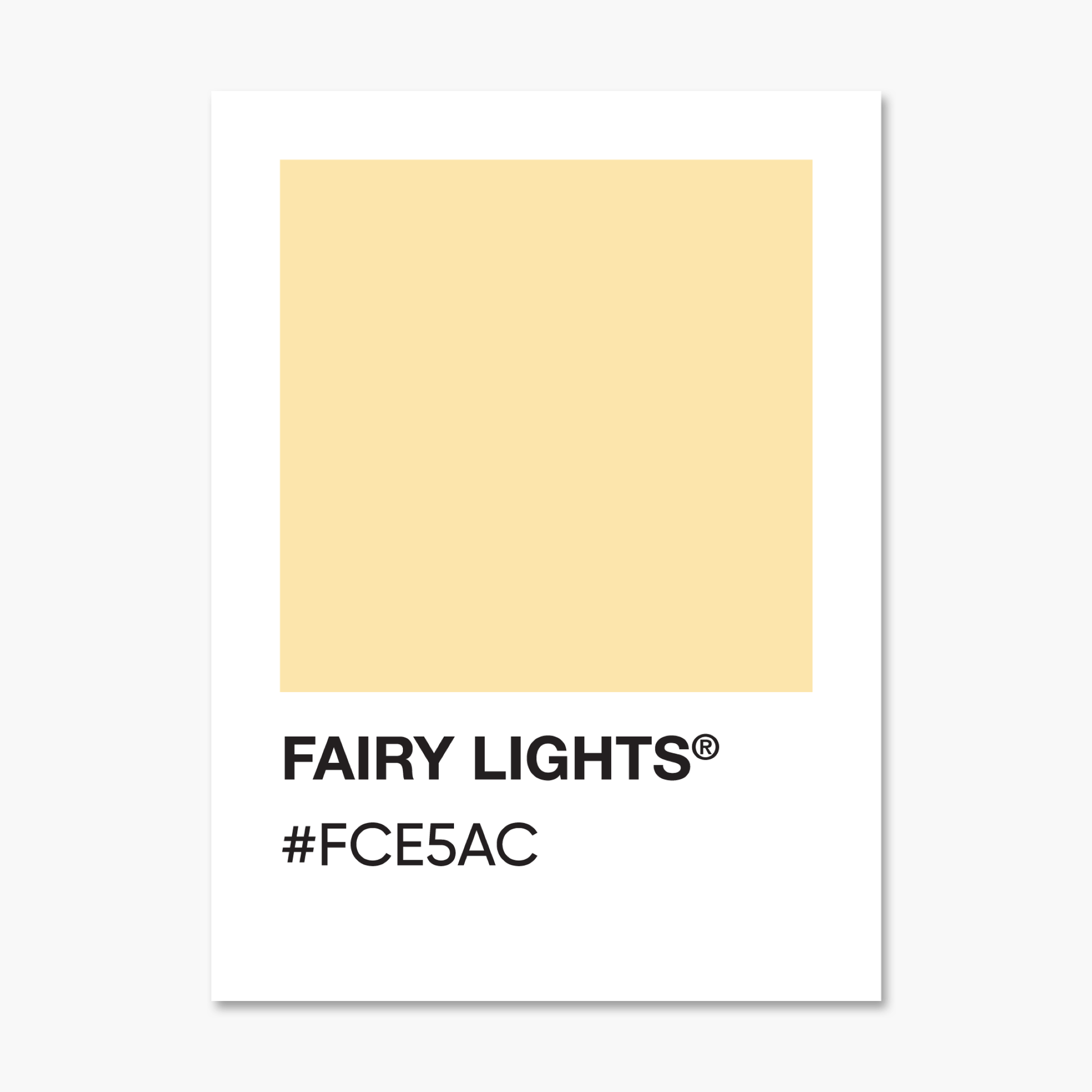 Fairy Lights Color Palette Sticker | Footnotes Paper