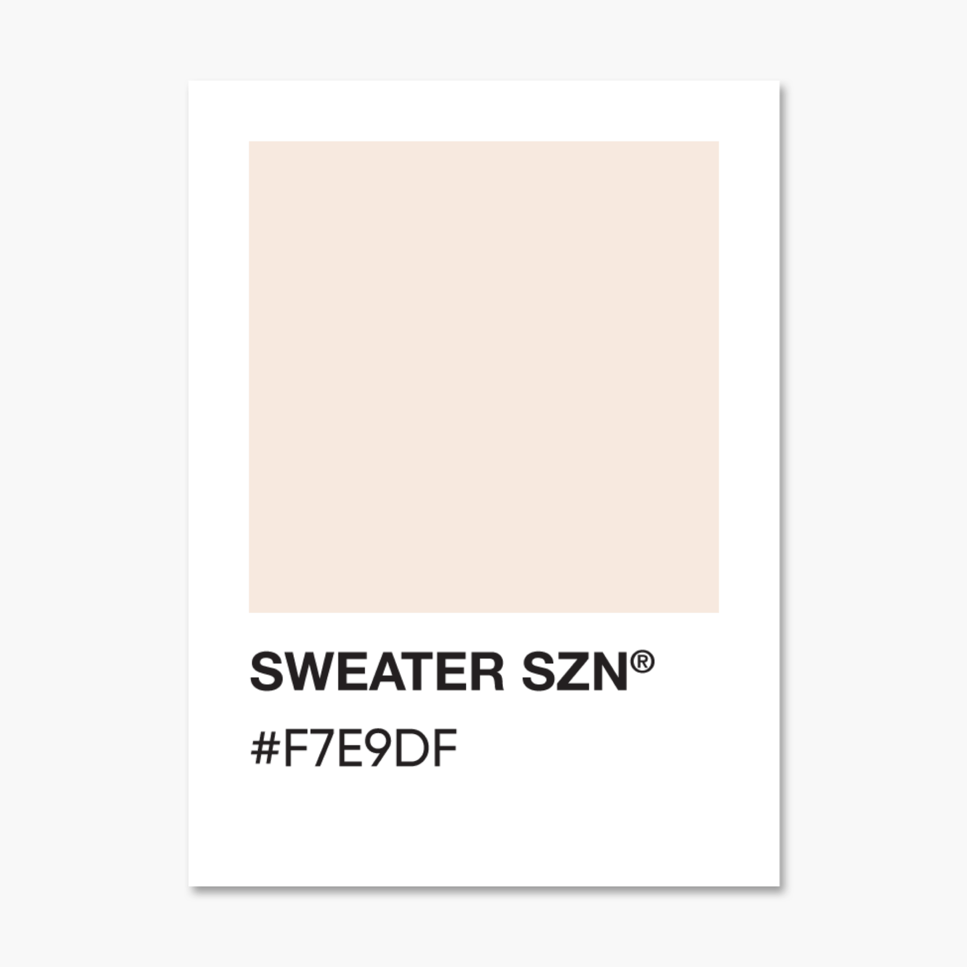 Sweater SZN - Color Palette Sticker - Footnotes Paper