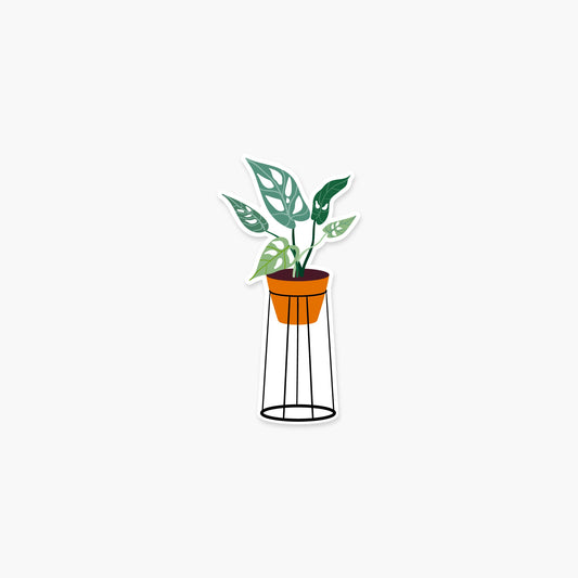 Variegated Monstera in a pot 1.7 x 3.25 in - Plant Sticker - Footnotes Paper