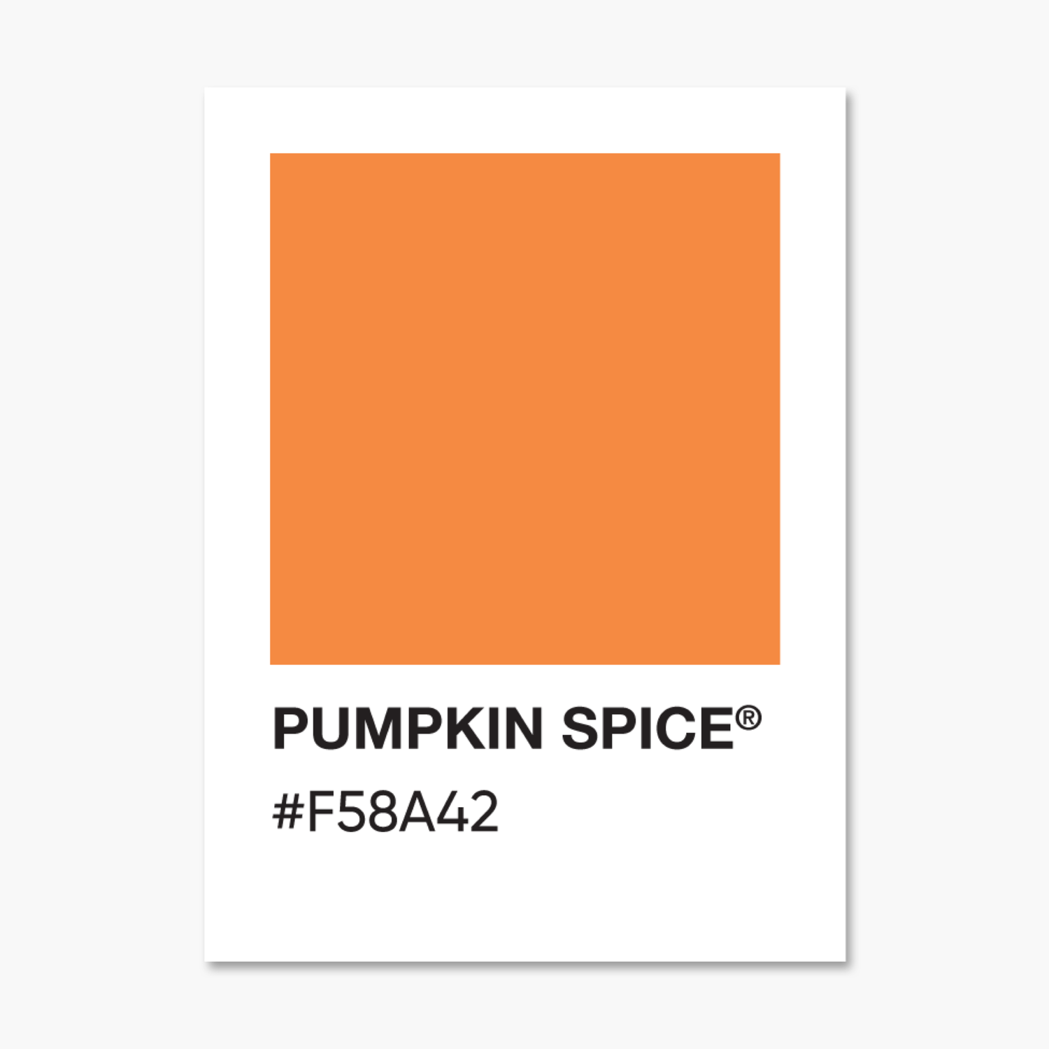 Pumpkin Spice Color Palette Sticker | Footnotes Paper